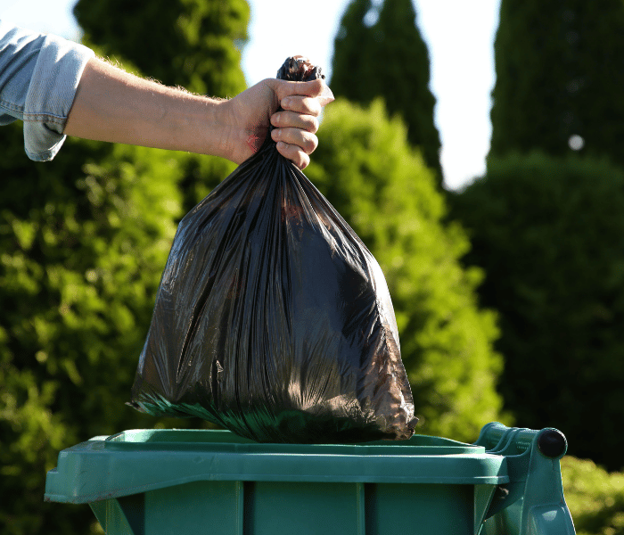 Find out when the bins go out